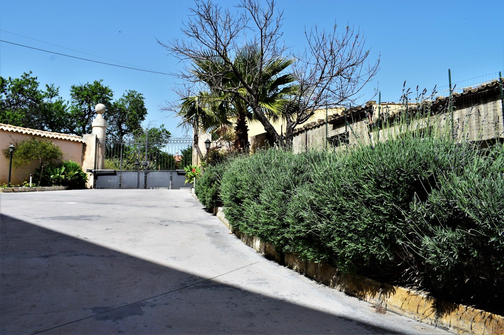 Villa Rosaria Rooms Noto Bagian luar foto